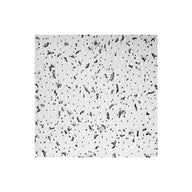 Cortega 769A 2' x 4' x 5/8" Ceiling Tile