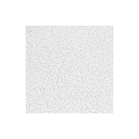 Cortega 933 2' x 4' x 5/8" Ceiling Tile