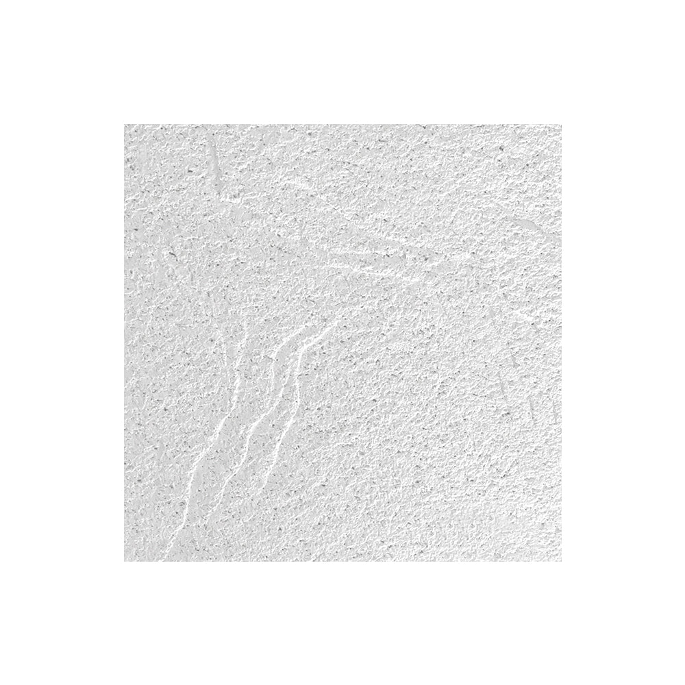 Sandrift 2' x 2' x 3/4" Ceiling Tile