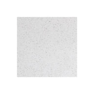 Snowen 2' x 2' x 5/8" Ceiling Tile