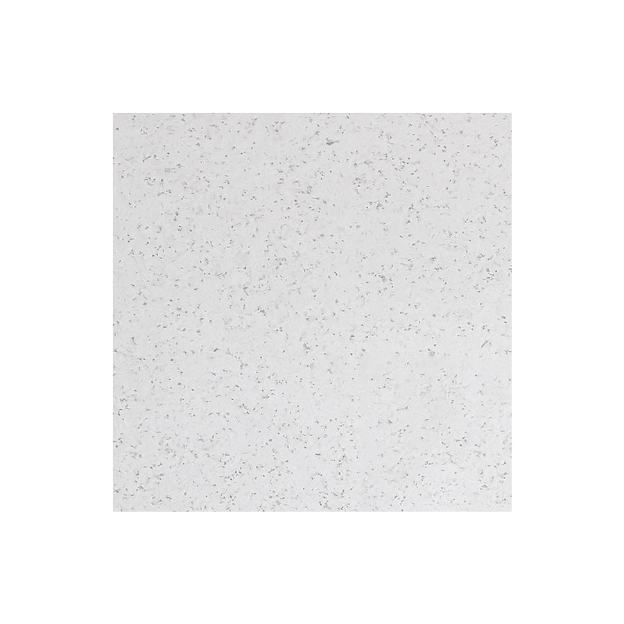 Snowen 2' x 2' x 5/8" Ceiling Tile