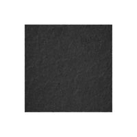 Stallion BLACK 2' x 2' x 5/8" Ceiling Tile