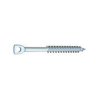 Eye lag Clear Zinc Screws