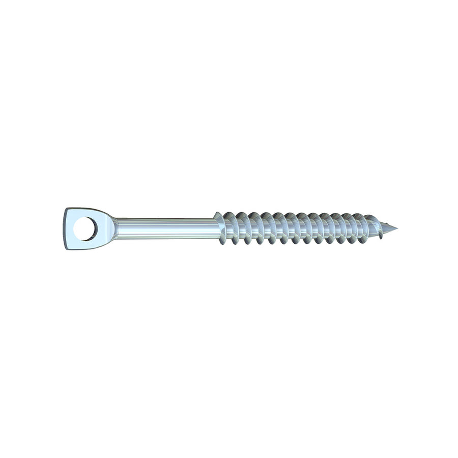 Eye lag Clear Zinc Screws